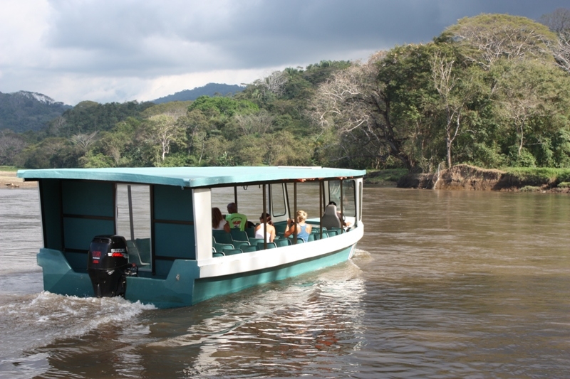 Carara Tour + Crocodile Boat Tour
