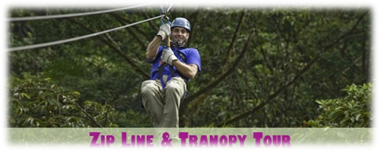 Tranopy: Aerial Tram + Zip Line